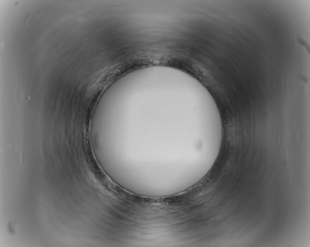 X0000099540594200805160750