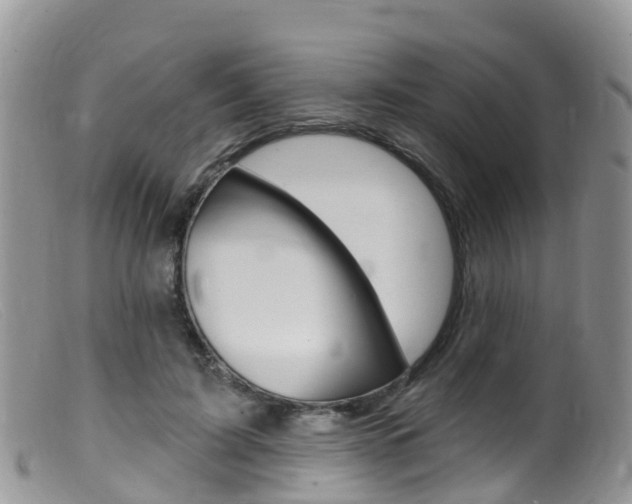 X0000099540595200805160750