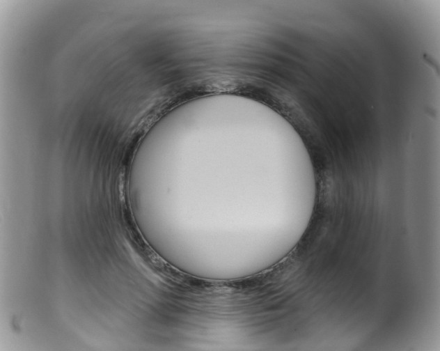 X0000099540598200805160750
