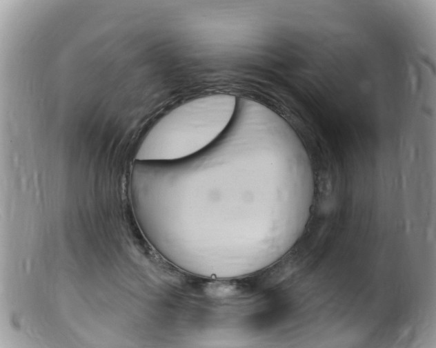X0000099540602200805160750