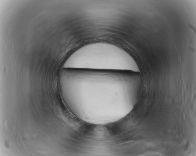 X0000099540603200805160750
