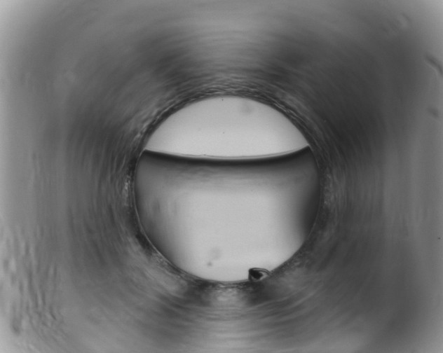 X0000099540604200805160750