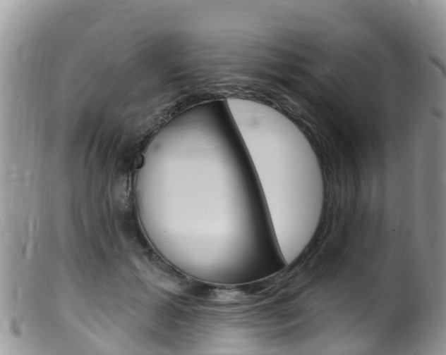 X0000099540605200805160750