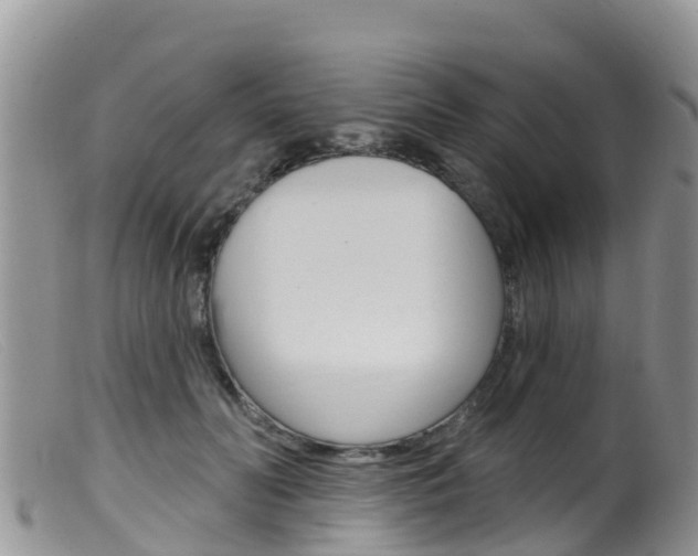 X0000099540606200805160750