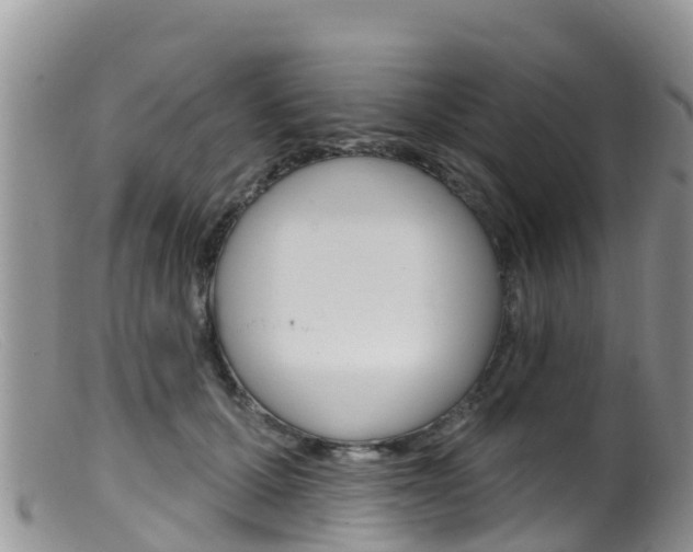 X0000099540607200805160750
