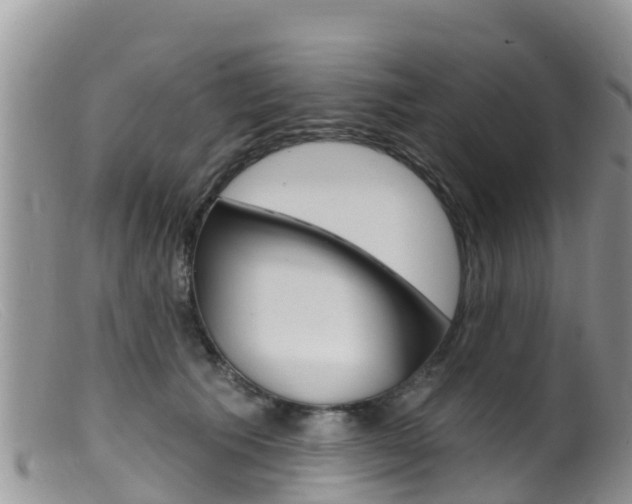 X0000099540609200805160750