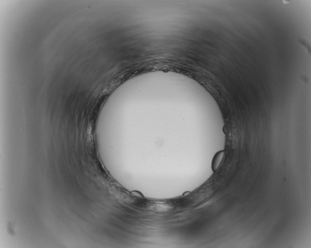 X0000099540610200805160750