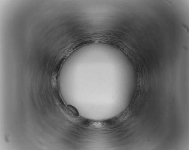 X0000099540611200805160750