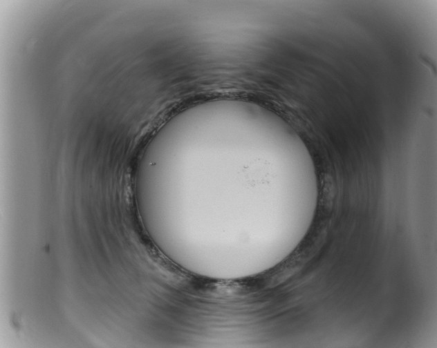 X0000099540612200805160750