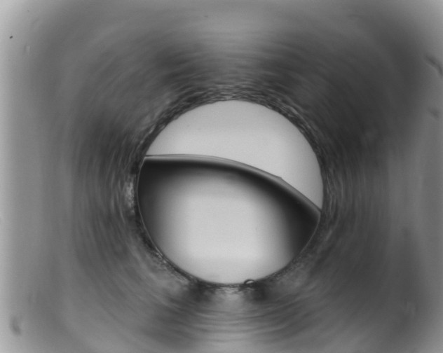 X0000099540613200805160750