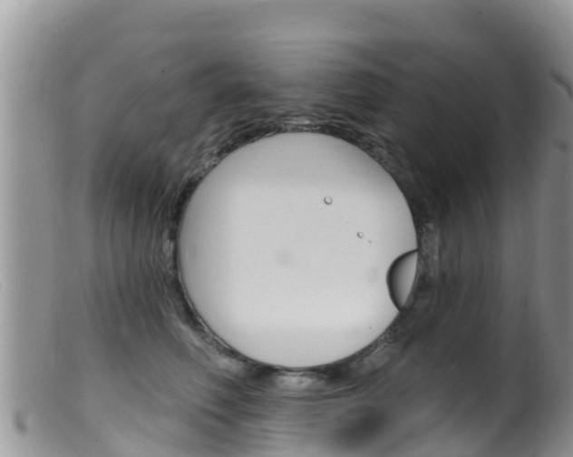 X0000099540614200805160750