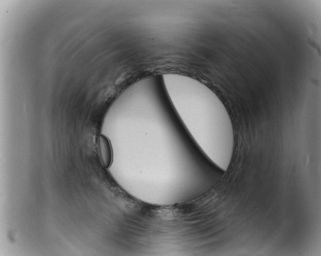X0000099540615200805160750