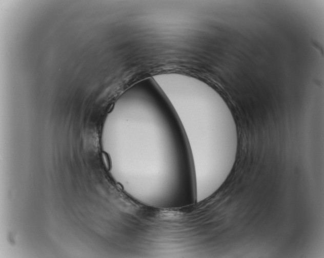X0000099540617200805160750