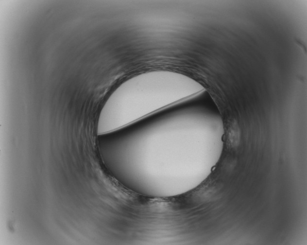 X0000099540620200805160750