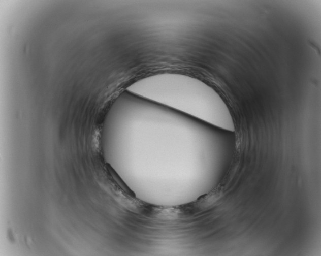 X0000099540621200805160750