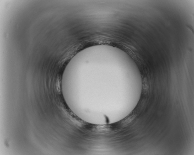 X0000099540622200805160750