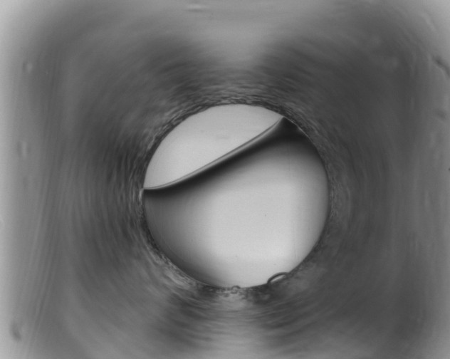X0000099540624200805160750