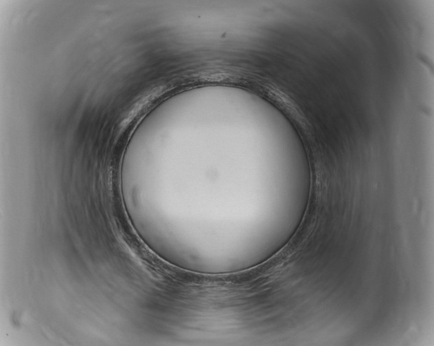 X0000099540626200805160749