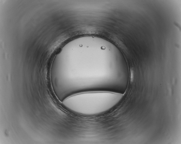 X0000099540627200805160749