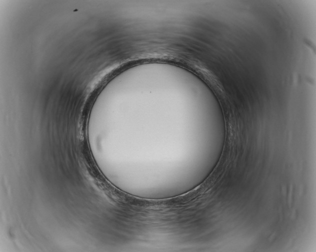 X0000099540628200805160749