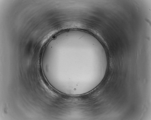 X0000099540629200805160749