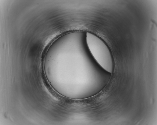 X0000099540630200805160749