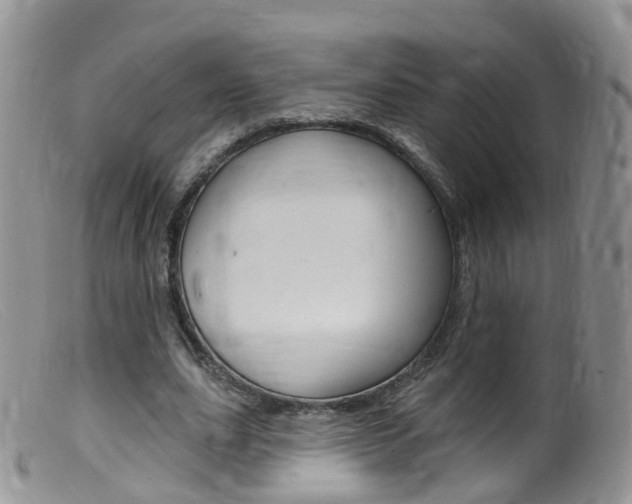 X0000099540631200805160749