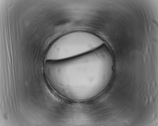 X0000099540633200805160749