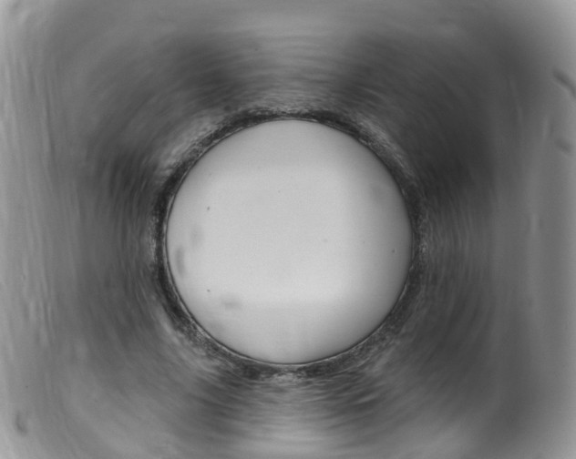 X0000099540635200805160749