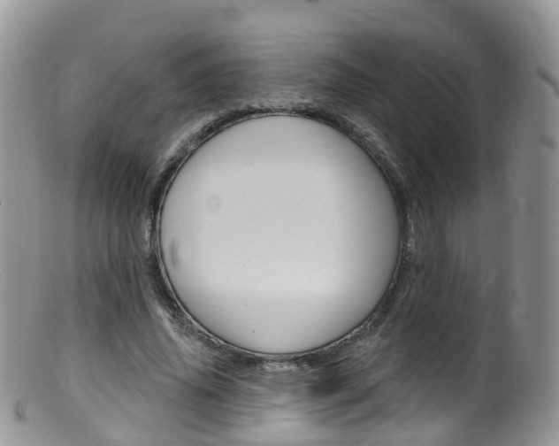 X0000099540636200805160749