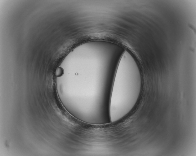 X0000099540637200805160749