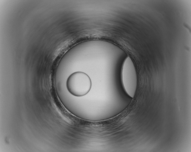 X0000099540638200805160749