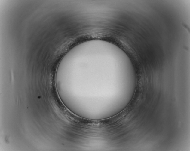 X0000099540639200805160750