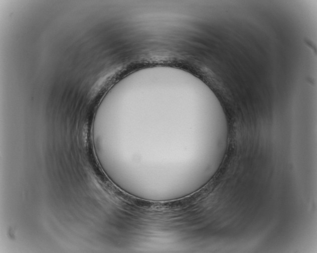 X0000099540640200805160750