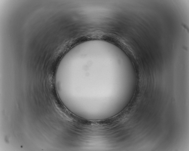 X0000099540641200805160750