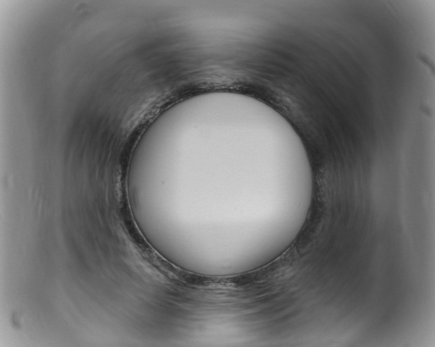 X0000099540642200805160750