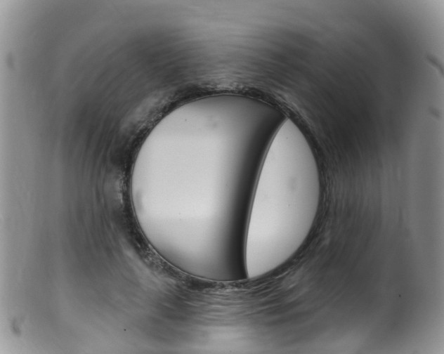 X0000099540643200805160750
