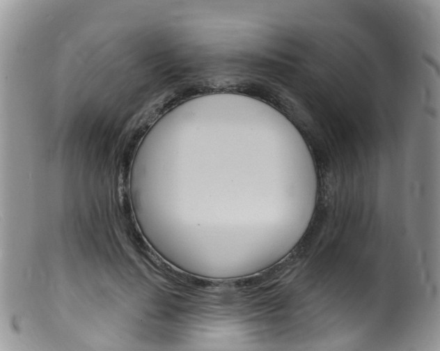 X0000099540644200805160750