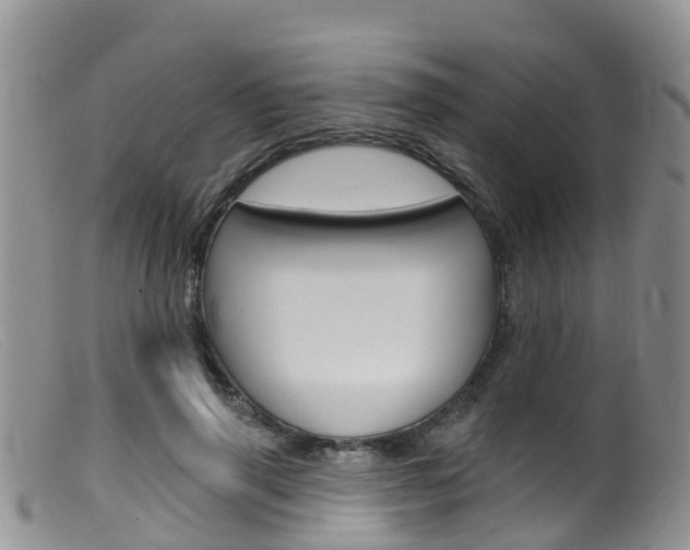 X0000099540645200805160750
