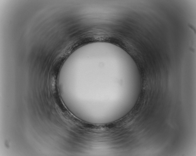 X0000099540646200805160750