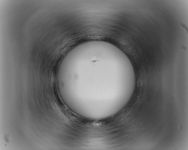 X0000099540647200805160750