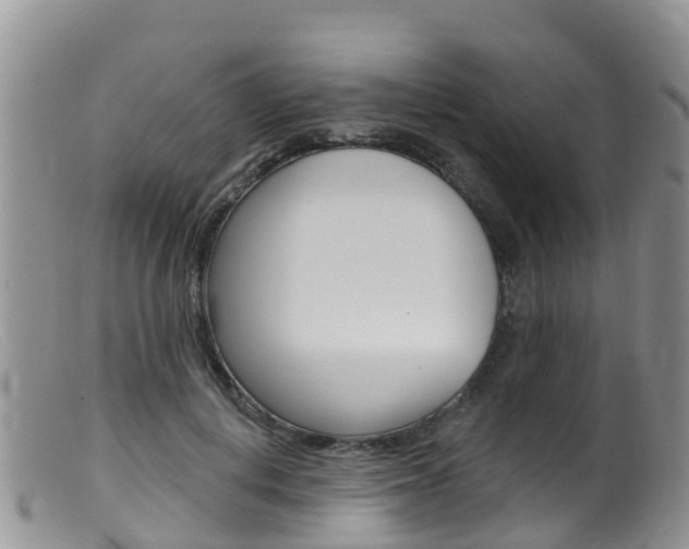 X0000099540648200805160750