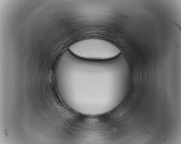 X0000099540649200805160750