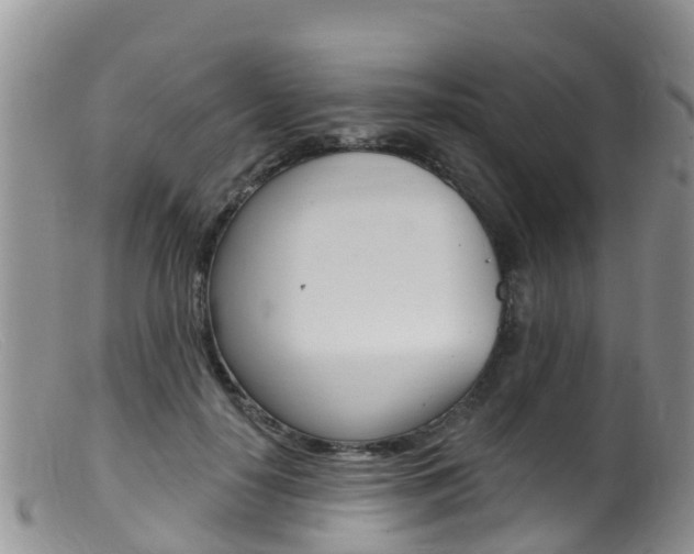X0000099540650200805160750