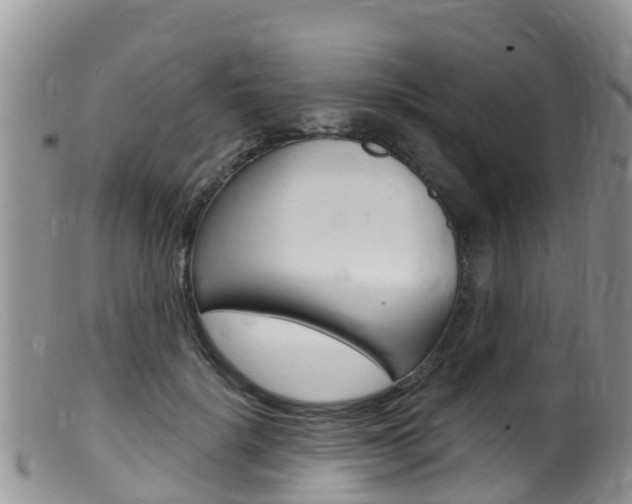 X0000099540652200805160750