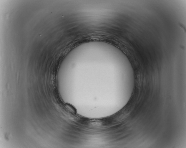 X0000099540653200805160750