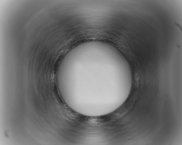 X0000099540657200805160750