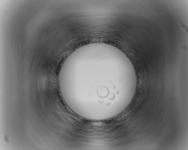 X0000099540659200805160750