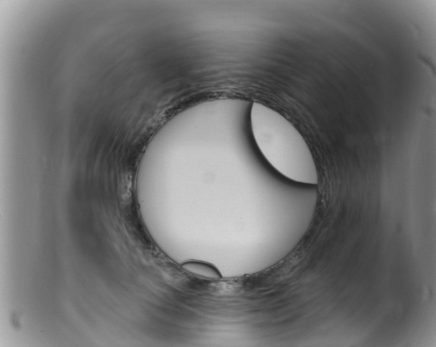 X0000099540660200805160750