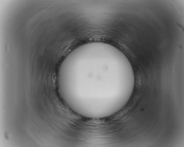 X0000099540661200805160750